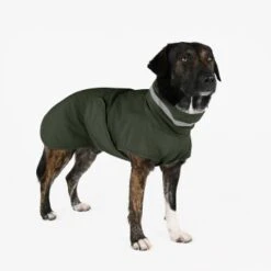 THE DOG IDEA Regenmantel Kayden Dunkelgrün XXXS -Ruffwear Geschaft 8e1edff2e1ce2cd20f42f4cd20424a52daa78ad1 1681316 de DE 8641e0d326e4fbfe5bb478f23ddb388d14883be57XHtP2