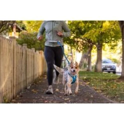 Ruffwear Trail Runner™ Leine -Ruffwear Geschaft 8e9f4d4bb7c6ad5b3e63c0006798c2c5cf34c3ec 1651448 de DE bcc58d01c21006860a564a99dca8ef031baa0880RBkEUN