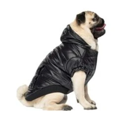 Canada Pooch Glänzende Pufferweste XXS -Ruffwear Geschaft 8ec11177ec9f86d200ff22bc3e0c234ecff91e7e dfb5b396c833a1ace7625fc5796632bee13eda68