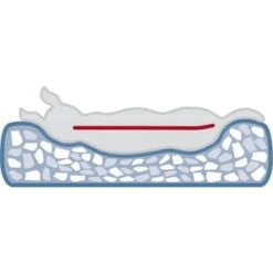 Trixie Vital Bett Noah 50 Cm, 50 Cm, 17 Cm 9 Trixie Vital Bett Noah 50 Cm, 50 Cm, 17 Cm -Ruffwear Geschaft 8f80fa8eb5a48591717c668bd46914fa7efa55b1 1340492 de DE 1d7984e7a0780c7270c71e6eea10dd366c3aac48Kr03jO