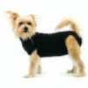 Trovet Hundebody Recovery Suit Schwarz XXS -Ruffwear Geschaft 92d14012c332f0a5a46b2a7887d2e493de373061 bbc558c1bdf8e1bee3228f5e0e39819075b810aa