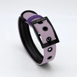 THE DOG IDEA Biothane Halsband Lavendel Violett S -Ruffwear Geschaft 94f2fb7dd39f78fdd17641b2b2aa77ced1226c6d 1487846 de DE 54e1798e44855b33f515a58612bfdcda1a965fe32L8Aoz