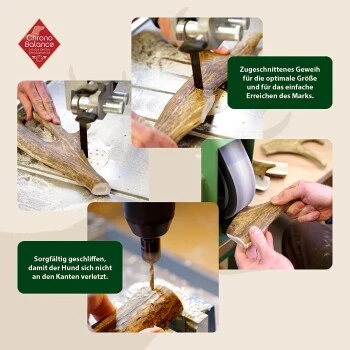 ChronoBalance Kaugeweih Damhirsch (M) 2er Paket 4 ChronoBalance Kaugeweih Damhirsch (M) 2er Paket – Bild 2