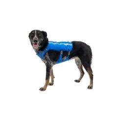 Ruffwear Trail Runner™ Weste Blau XS -Ruffwear Geschaft 98442c3f4ada02dc38bbe918031392b2ba7e1943 1639640 de DE 57b978069b1aa95a705eb1af32811decb2e9cfecAOoih7