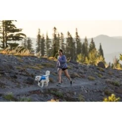 Ruffwear Trail Runner™ Leine -Ruffwear Geschaft 98f21e7cca63fb4d80dbaaac2586f93740693109 1651448 de DE 5295a8211b828d83dadc06360a315d29f14d29c0xJqSju