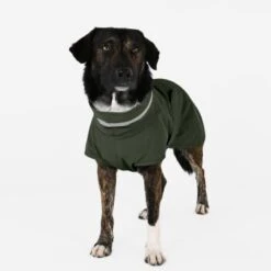 THE DOG IDEA Regenmantel Kayden Dunkelgrün XXXS -Ruffwear Geschaft 9a668c504b3486a9b86c49e089604e2cd6aae5dc 1681316 de DE 64d44c6bd735967b4baec49248122e0f86b4bfe79BFyCh