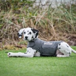 Thundershirt Beruhigungsweste Grau XS -Ruffwear Geschaft 9b6b99fb9c0e02a64cc609b7ca852c71d17d0d84 1102942 2