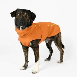 THE DOG IDEA Regenmantel Duke Orange XXXS -Ruffwear Geschaft a1af009970fbe0d49b23b55aae3478442e9eb5e6 1473000 de DE e975935bd14ae10e3cbf4709cc9d05a6879844e2TUSiIw