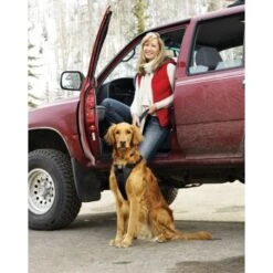 Kurgo Sicherheitsgeschirr XS 9 Kurgo Sicherheitsgeschirr XS -Ruffwear Geschaft a4c7eb8e01c5ebf8b8255f21e324157d729bdb03 42ffd01cdabc319c346d47b466ac3c3ee74ac6ef