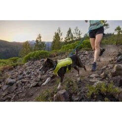 Ruffwear Trail Runner™ Leine -Ruffwear Geschaft a5e8a95b67ab4a40ed78579217427f0ab0222efa 1651448 de DE 5a8260028b8fd2772da5e61732fbde05b9e5b903tiQYKB