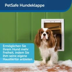 PetSafe Haustierklappe Für Extremes Wetter S -Ruffwear Geschaft a6418c2f84c3e14467d7c91992b367da97c80c68 1279434 de DE fb7da59b7a5bf84ad58e13f5dc3d9cc04f4fa864u7H7aK