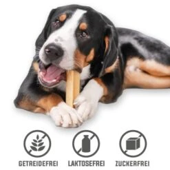 Larsson Yaky Kaukäse XL -Ruffwear Geschaft a6ec81fad6b8fb9e26337ea469e5a9485ce0d08b 1327624 de DE 03b2be7109b1558a5ecbf9fa148257b498d43c33jg0RU0