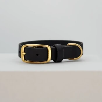 THE DOG IDEA Leder Halsband Schwarz S 6 THE DOG IDEA Leder Halsband Schwarz S – Bild 4