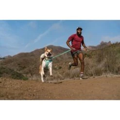 Ruffwear Hi & Light™ Leine Grün -Ruffwear Geschaft a9bb9c540656b7aa8771909ef98b6c75c25b9109 1651449 de DE e1f513ccb316fd4c3d8ab244f2741d98d771b1dc3aPDlo