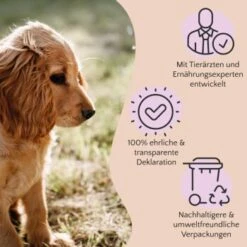 FAVLY Petfood Nature Cookies Hirsch 360 G -Ruffwear Geschaft ae0e416bd82871a8a65b5b89ea5ccac268b91726 1474001 de DE 80624b888460a5c29f043365a19496292e44fd84erjjco