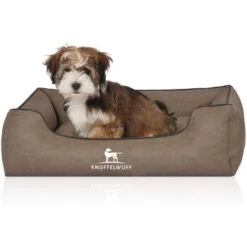 Knuffelwuff Hundebett Scottsdale Aus Kunstleder Stone Clay M-L 9 Knuffelwuff Hundebett Scottsdale Aus Kunstleder Stone Clay M-L -Ruffwear Geschaft afdefd1888a78a78a3355676b158f643fcb5d7cd 1411998 de DE 22f250ac772f6cb0e29fb6fa36bf844b3aff7ab6JLwibO