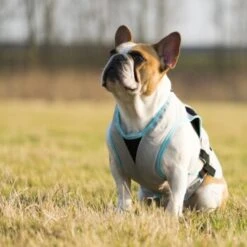 Trovet Suitical Kühlweste Dry Cool M -Ruffwear Geschaft b32e0654ab987d26790de796cf13d2e54cbed73f 1321386 de DE Trovet suitical 6 Kopie