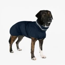 THE DOG IDEA Regenmantel Kayden Navy XXXS -Ruffwear Geschaft b34fa31ccdc4617a61beca0e9885f8d1738e0e5d 1681323 de DE 4f609ef4877a48b367fd5a50d483a13a07b6ca7blJ2zsD