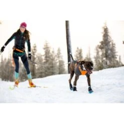 Ruffwear Cloud Chaser™ Hundejacke -Ruffwear Geschaft b3945dcdf1d891b89bb33cdcabbc0f70acaf459d 1369625 de DE 87163fc3e147e303fdf97d4ab87fd720c4f34a96B9a7gd