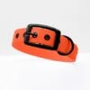 THE DOG IDEA Biothane Halsband Orange Schwarz XS -Ruffwear Geschaft b48de95667cbe68bbb1f84091bccf688baf6c72f 1662780 de DE ec18156cbc7bd79b620854b16c3302d9f60bd281v7iXWS