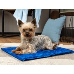 TrendPet Arctic Comfort 20 Mm Premium Kühlmatte Blau XS -Ruffwear Geschaft b53bb26cfb13cdd0b74dc985265a423c34472de0 1337501 de DE eeae7b858d8efabd7402d3478fa479a01c858980C07PVZ