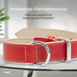 Freudentier Gefüttertes Halsband Aus Leder Rot L -Ruffwear Geschaft b6a6115b4bff2377ef42c420cc3939331dd65eb4 1655241 de DE 6d5809524c7eef7e530141859c494be8d690f770ogbuUj