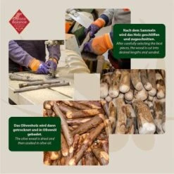 ChronoBalance Olivenholz (M) 2er Paket -Ruffwear Geschaft b8532cfbb5aca3f94f942f82c6b341478c48663b 1418700 de DE 8f48e572bfc115876fd8e9be5efc6bdd38136584ot8gk1