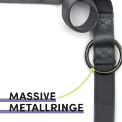 STUCH Hundeleine - Führleine - Large Grau -Ruffwear Geschaft b8aa24e27cbc4a178974cb09d87bbaf3f970df7e 1399116 de DE db6ead7203d242448ab935c04f029f56fb115743qrNPpj