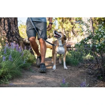 Ruffwear Chain Reaction™ Halsband Blau L 7 Ruffwear Chain Reaction™ Halsband Blau L – Bild 5