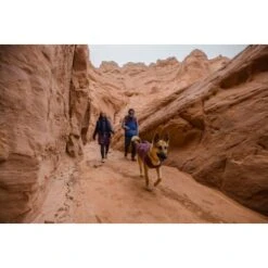 Ruffwear Overcoat Fuse™ Hundejacke Violett XXS -Ruffwear Geschaft be1df80a58a073c4a06905f9850fdb02868343c3 1639761 de DE 6b99be5157e3de813670a6d4268b03b177d774edbPJ4YO