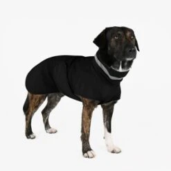 THE DOG IDEA Regenmantel Kayden Schwarz XXS -Ruffwear Geschaft c18b23279d60151229230a78a82b6d6c3b74ebe5 1681338 de DE d78b0c566a495808908252ea5e111324b1c967883VlEnV