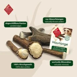 ChronoBalance Rothirsch Geweihstange Halbiert 50 G 13 ChronoBalance Rothirsch Geweihstange Halbiert 50 G -Ruffwear Geschaft c1c1d5f2dc2e68436e3d9eaba95be50761e7d2bf 1409474 de DE 902a389be4b99eb60431c66affbaefe4377d7689mK4Gdf