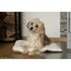 TrendPet Heaven Gefütterte Liegedecke Beige XS 19 TrendPet Heaven Gefütterte Liegedecke Beige XS -Ruffwear Geschaft c5c66fc687d35a3e6773ef1448666519ab0b2e08 1247692 de DE 81f160c83e2294ffce25bd46e4e5f7822b6791cdSRCcNt