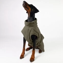 THE DOG IDEA Bademantel Every Khaki XXXS 10 THE DOG IDEA Bademantel Every Khaki XXXS -Ruffwear Geschaft c6567ee5fa23ab9a22b56936e6d4134ee2acea14 1473018 de DE 152849e6e27b535b9a56967a3d0992ac03ebbc6b46CQen