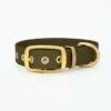 THE DOG IDEA Biothane Halsband Gold Khaki M -Ruffwear Geschaft ccb7f297d138c680b79d54431fec864035ca1448 1655419 de DE f73a599fd7bd8b41d43fc994a962bf949a61e7f6pnKrVu