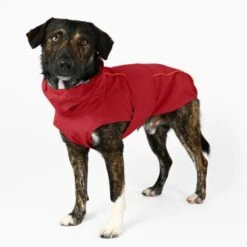 THE DOG IDEA Regenmantel Duke Rot XXXS -Ruffwear Geschaft d083d3aa5bf7a92a10edd60af22366a875982303 1487619 de DE 658faa6557ddb291378da1b56ec73f187aaaca1eiubhAM