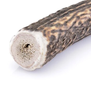 Larsson Geweih XL Ca. 160-250g 5 Larsson Geweih XL Ca. 160-250g – Bild 3