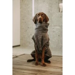 Lills Lill's Hundebademantel "Night Blue" 35 Cm -Ruffwear Geschaft d200b579b2b65ad9031ca5a6286c317e485ef232 1653379 de DE 98bc74239c4ab048310224eeb67c837697c0c318SRPWrI