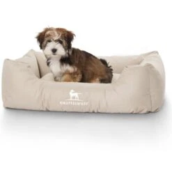 Knuffelwuff Hundebett Finlay Aus Nylongewebe Beige M-L 9 Knuffelwuff Hundebett Finlay Aus Nylongewebe Beige M-L -Ruffwear Geschaft d2836020642a78bb25aa7aabb7fe8b9e16e5db89 1411820 de DE 16f36344ce859566301aa9d808c2cb54e375c325C4xpik