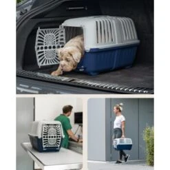 Lionto Transportbox Aus Plastik Dunkelblau S 9 Lionto Transportbox Aus Plastik Dunkelblau S -Ruffwear Geschaft d364b75af76fad3c0fec93f6ca004d6da24c4c4e 1657970 de DE 5fce1ea0239c94df7b5030ce7f0031e44a065aad0cy4Ox