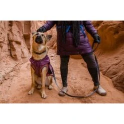 Ruffwear Overcoat Fuse™ Hundejacke Violett XXS -Ruffwear Geschaft d3f94d44f6e67346b4db3fd52a9a9b783d58a1b6 1639761 de DE f363d728c6c2883bd7afb3f30f0490bc0ed64f63oUWWPq