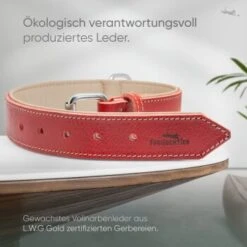 Freudentier Gefüttertes Halsband Aus Leder Rot L -Ruffwear Geschaft d409cad84e2e26e5e855246f3d62526ca2fa7cd7 1655241 de DE b688ee419d994f89d4885d7f15c32b5b6f7cc00bZYodZu