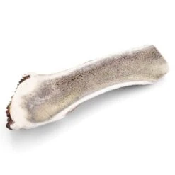 Larsson Halbiertes Geweih M Ca. 80-120g -Ruffwear Geschaft d681c467faf90aaafb4106ac6ff11dfde40fa0b4 1057939 de DE 07a5583c6c0a2422d7e96e9d106fdd121d9d8ba6Brcgig