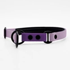 THE DOG IDEA Zugstopp Halsband Neongelb XS -Ruffwear Geschaft d995d674a0a6e4782ee72b9509f3e89d72411d5b 1499718 de DE 805e02331dfb2d4d0fd998429f1dc1b04e1a5d292EIpfP