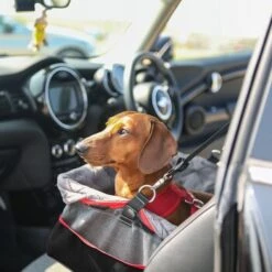 KONG Autositz Booster -Ruffwear Geschaft da5a6f6bf09b649e9026b41a00dfde740dc53650 926bd0d2f09bb651acb8b3ebfee5cc340cccaf62