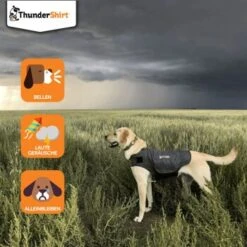 Thundershirt Beruhigungsweste Grau XS -Ruffwear Geschaft dba829e1909f5c4f6710e4085b27664b9bf6ac3e 1102942 2