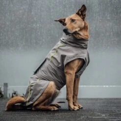 THE DOG IDEA Regenmantel Duke Greige XXXS -Ruffwear Geschaft dc82a9340ce92f7125e10d75d52d5098b8ba706b 1472991 de DE 4641a977330b029676e34b22597de7e3842e9541qXIb4u