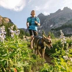 Ruffwear Geschirr Front Range Royal S 10 Ruffwear Geschirr Front Range Royal S -Ruffwear Geschaft e15197d6b811d617809f68f33d8a3e65d6aeaca9 b4ff373a643a06cdf020cbcf677cbfa6d9fa075f