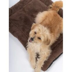 TrendPet SoftPad Gefütterte Liegedecke Braun XS -Ruffwear Geschaft e157885f11637efa8758a142cf84ed9f364122c5 1223181 de DE 27b7c1e49a392f1d89b057672585fbb6ce9e6c10VHE7dd