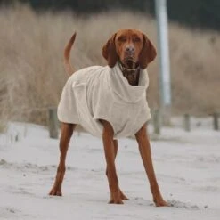 THE DOG IDEA Bademantel Every Beige XXXS -Ruffwear Geschaft e3729773c9f5b61c18a464eeb5076e81a866013e 1472946 de DE ac504db57b88122680c4cb56470ea23721b69c99VnzO7V